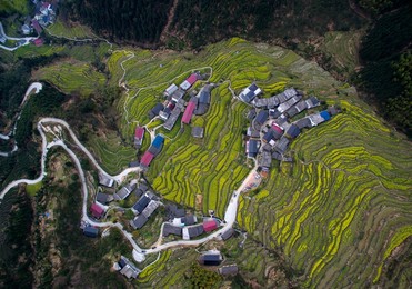 Image 279823308