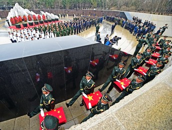 Image 280189589