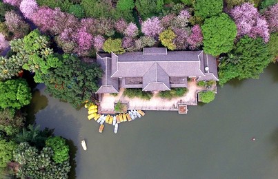 Image 280389188