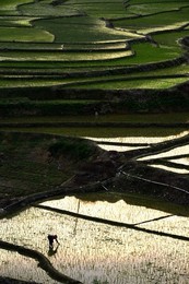 Image 280586413