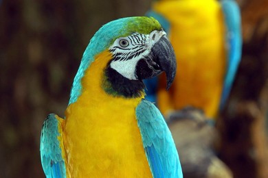 Image 281158272