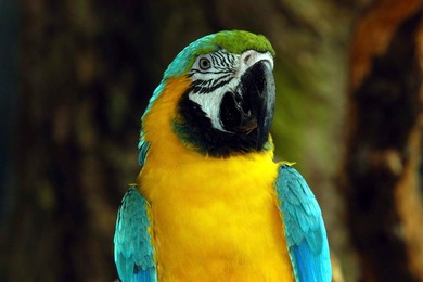 Image 281158311