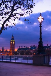 Image 281158665