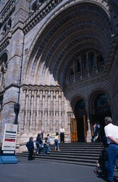 Image 281176893