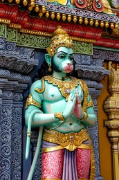 Image 281182146