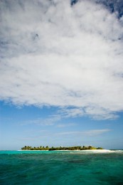 Image 281189069