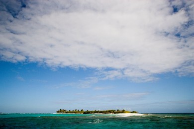 Image 281189070