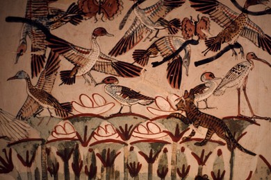 Image 281193202