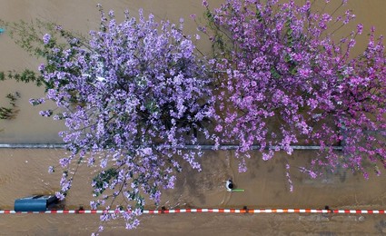 Image 281195464