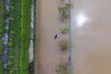 Image 281195465