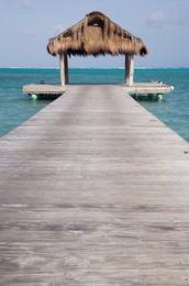 Image 281195675