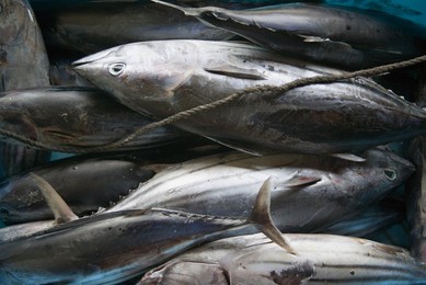 Image 281195680
