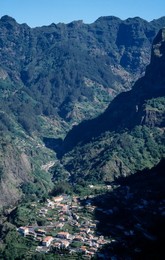 Image 281207940