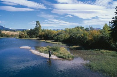 Image 281208349