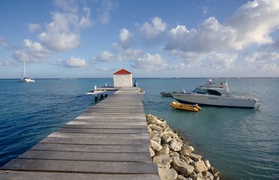 Image 281218298