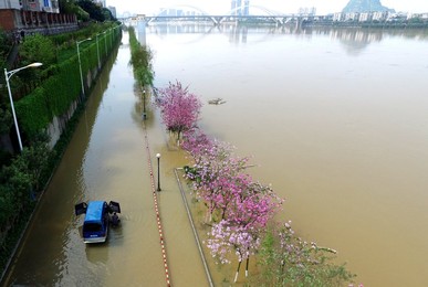 Image 281224782
