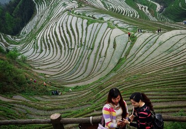 Image 281231666