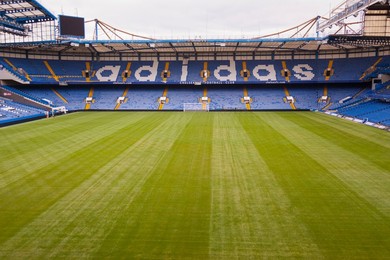 Image 281300616