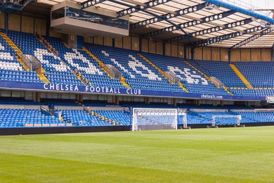 Image 281300621