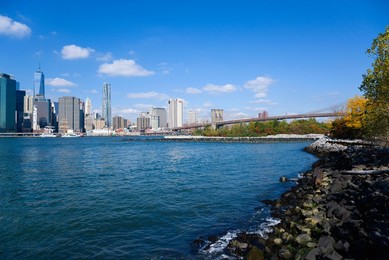 Image 281301329
