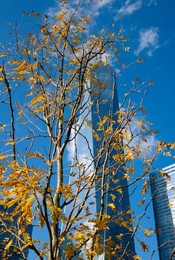 Image 281302185