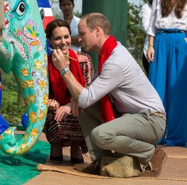 Image 281402658