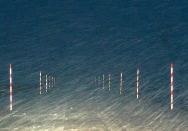 Image 281473516