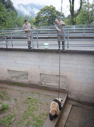Image 281588096