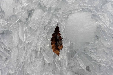 Image 281694584