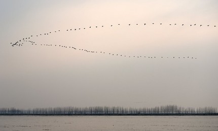 Image 281796682