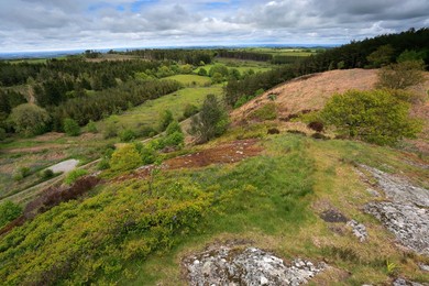 Image 282027417