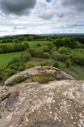 Image 282027485
