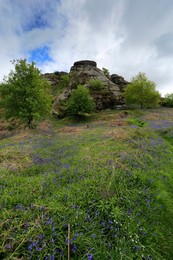 Image 282027615