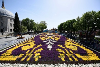 Image 282097133