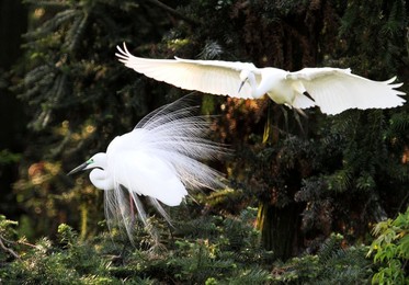 Image 282143319