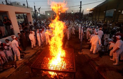 Image 282220357