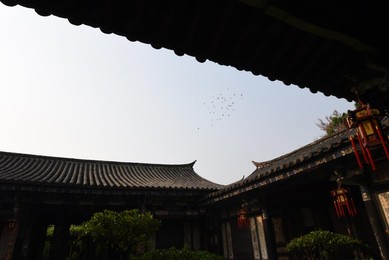 Image 282245363