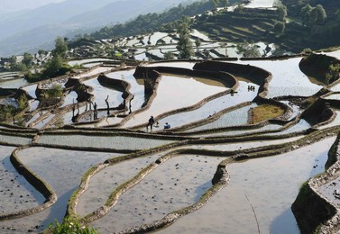 Image 282672918