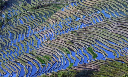 Image 282672920