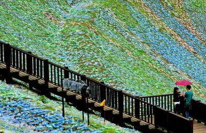 Image 282783756