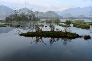 Image 282921079