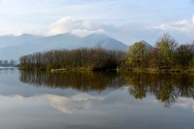 Image 282921102