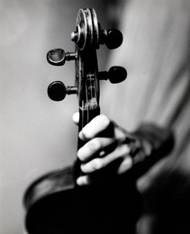 Image 283373024