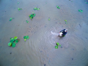 Image 283460367