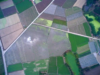 Image 283460380