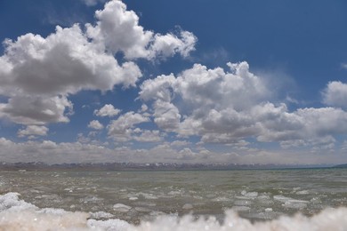 Image 283510270