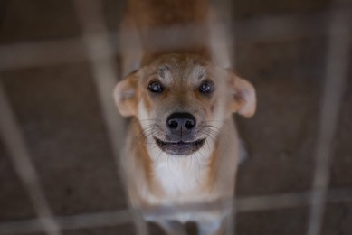 Image 283586369