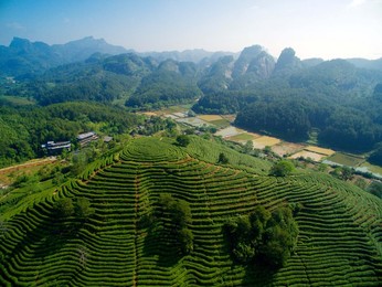 Image 284417186
