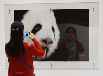 Image 285897453