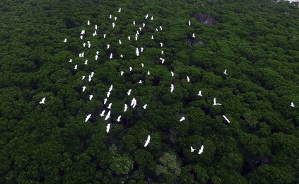 Image 286239161
